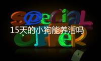 15天的小狗能養活嗎