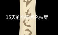 15天的小狗怎么拉屎