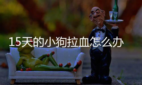 15天的小狗拉血怎么辦