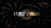 15天了小狗
