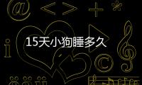 15天小狗睡多久