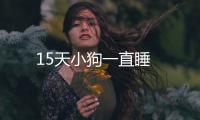 15天小狗一直睡