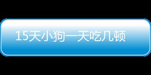 15天小狗一天吃幾頓