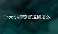 15天小狗感冒拉稀怎么回事
