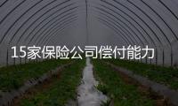 15家保險公司償付能力方面“亮紅燈”