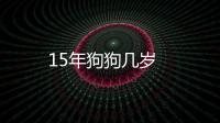 15年狗狗幾歲