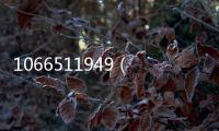 1066511949（10665110）