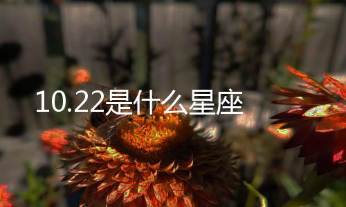 10.22是什么星座