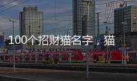 100個招財貓名字，貓咪一般叫什么名字好聽點