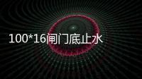 100*16閘門底止水橡皮P35/P45/P50