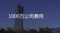 1000萬公司費用