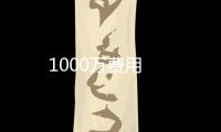 1000萬費(fèi)用