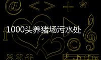1000頭養豬場污水處理設備多少錢