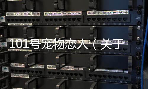 101號寵物戀人（關于101號寵物戀人的基本情況說明介紹）