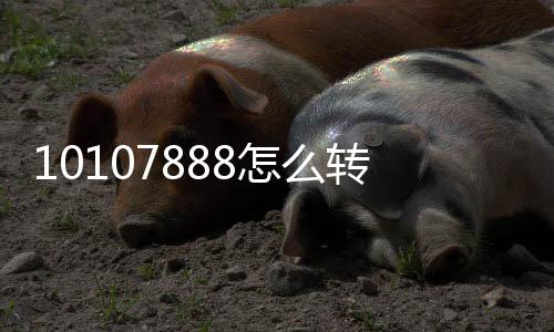 10107888怎么轉人工服務為啥轉不了