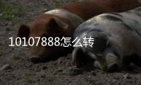 10107888怎么轉人工服務為啥轉不了