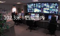102.3米！西藏境內發現亞洲第一高樹