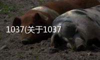 1037(關于1037簡述)