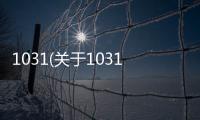 1031(關(guān)于1031簡(jiǎn)述)
