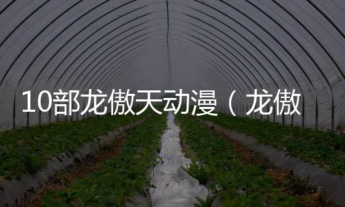 10部龍傲天動漫（龍傲天后宮動漫推薦）