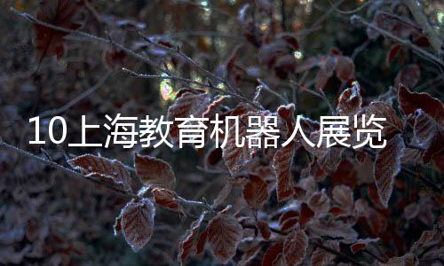 10上海教育機器人展覽會