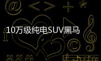 10萬級純電SUV黑馬 云兔預制量產車正式下線