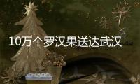 10萬個羅漢果送達武漢，官方：捐贈物需提前登記統籌