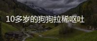 10多歲的狗狗拉稀嘔吐怎么回事