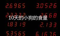 10天的小狗的食量