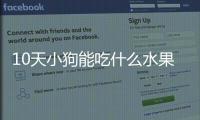 10天小狗能吃什么水果
