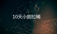 10天小狗拉稀