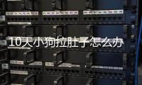 10天小狗拉肚子怎么辦啊