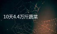10天4.4萬(wàn)斤蔬菜 惠及9200個(gè)家庭