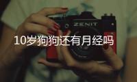 10歲狗狗還有月經嗎
