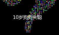 10歲狗狗失聰