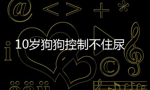10歲狗狗控制不住尿