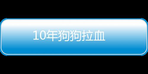 10年狗狗拉血