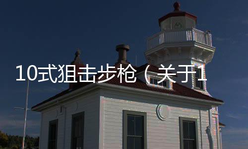 10式狙擊步槍（關于10式狙擊步槍的基本情況說明介紹）