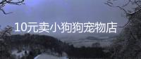 10元賣小狗狗寵物店