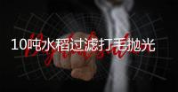10噸水稻過濾打毛拋光機稻種自動拋光機