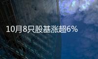10月8只股基漲超6% 嘉實國泰鵬華招商中銀等產品領漲