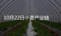 10月22日小麥產(chǎn)業(yè)鏈情報(bào)