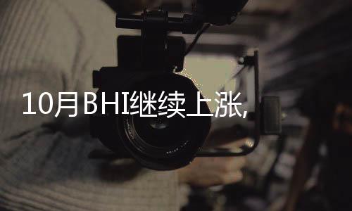 10月BHI繼續(xù)上漲,全國建材家居賣場銷售額同比上漲79.89%