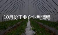 10月份工業(yè)企業(yè)利潤(rùn)穩(wěn)中有升