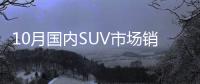 10月國內SUV市場銷量分析 韓系不容樂觀
