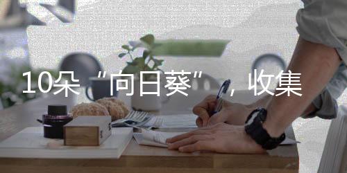 10朵“向日葵”，收集陽光照亮未來館,企業新聞