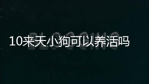 10來天小狗可以養活嗎