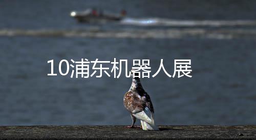10浦東機器人展