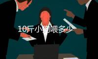 10斤小狗喂多少