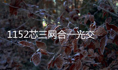 1152芯三網合一光交箱